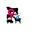 logo_259924.jpg