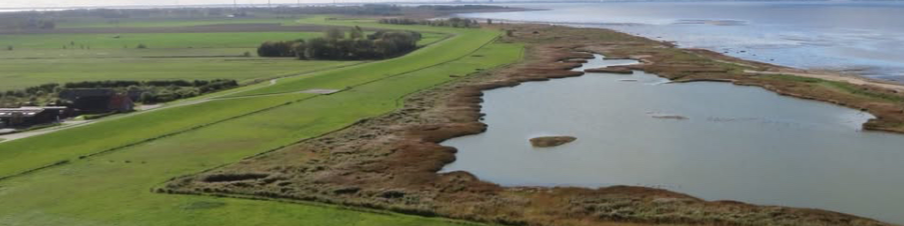 Kauf Eines Campingplatz